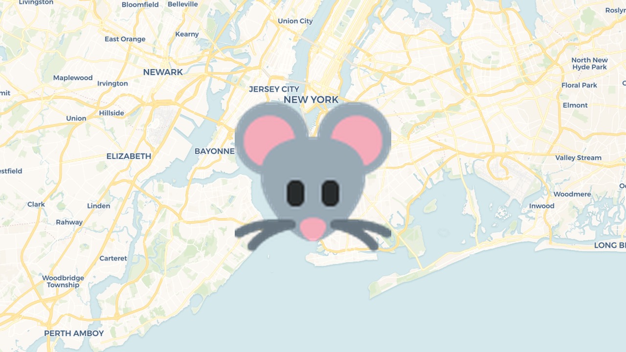 RatMap NYC